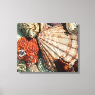 Toile Coquillages