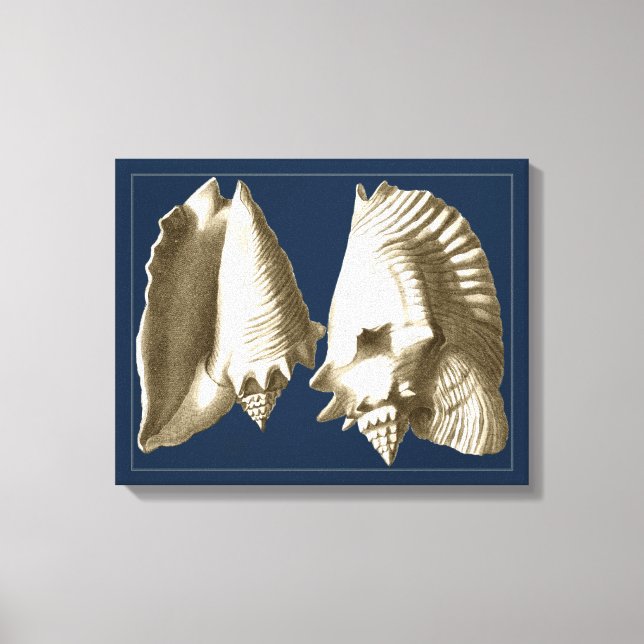 Toile Coquillages Sepia Conch (Recto)
