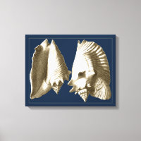 Coquillages Sepia Conch