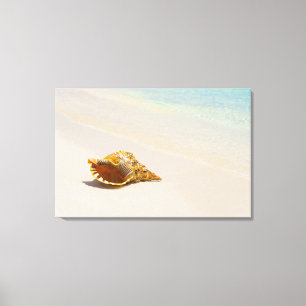 Toile Coquille De Conche Sur La Plage 3