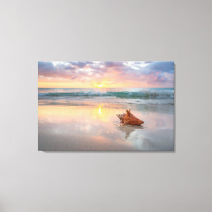 Toile Coquille de conches sur la plage   Jamaïque