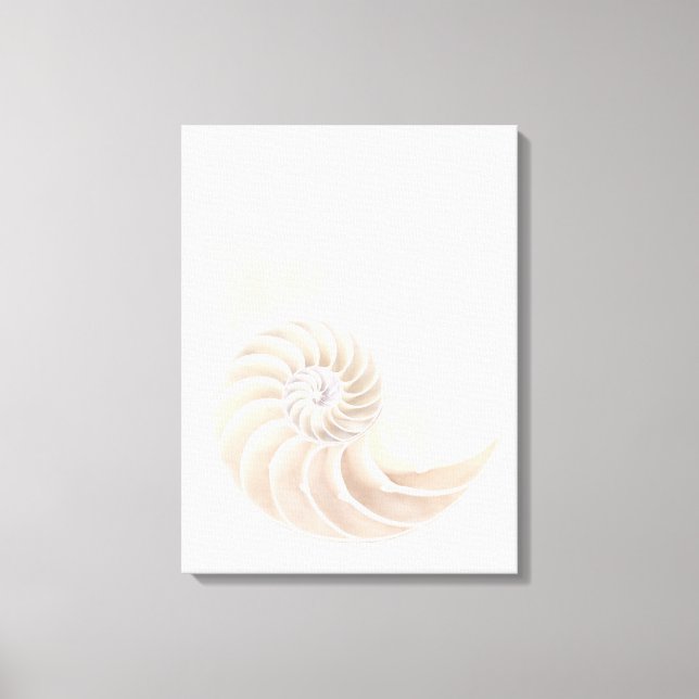 Toile Coquille de Nautilus, gros plan (Recto)