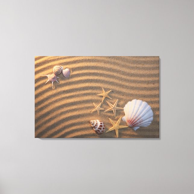 Toile Coquilles De Mer Et Éternuers (Recto)