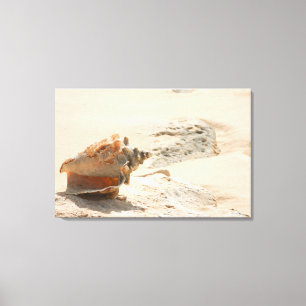 Toile Coquilles de mer sur la plage