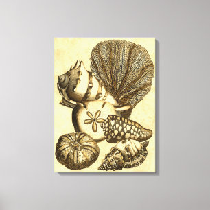 Toile Coquilles neutres et collection de corail