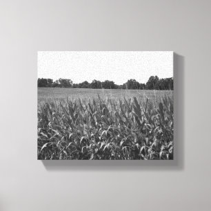 Toile Cornstalks noirs et blancs dans un champ rural 8x1