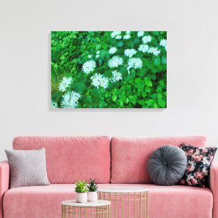 Toile Cornus sanguinea