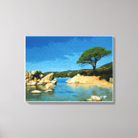 Corsica, plage de Palombaggia