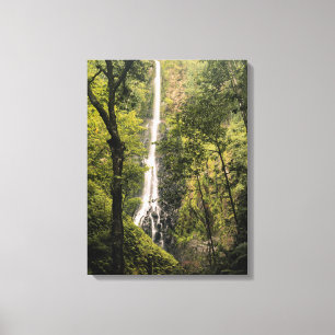 Toile Costa Rica, île Cocos, cascade de Wafer Bay