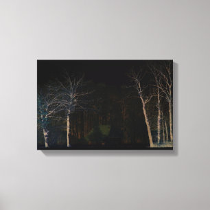 Toile Côté sombre 4 16,50 x 11 (41,25 x 27,5 cm) wacm