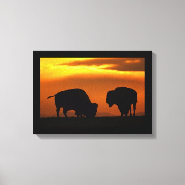 Toile coucher de soleil de bison (Recto)