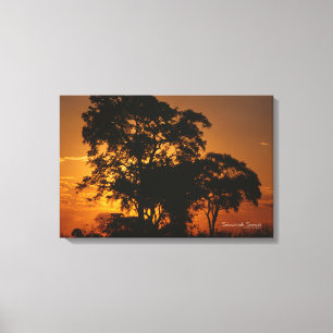 Toile Coucher de soleil de Savannah