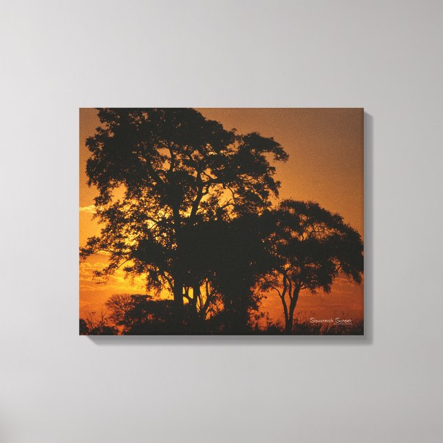 Toile Coucher de soleil de Savannah (Recto)