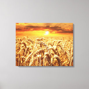 Toile Coucher de soleil étonnant sur le champ de blé