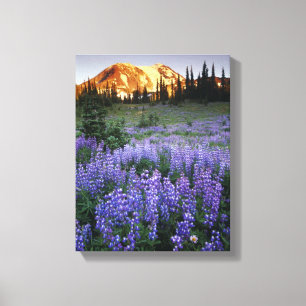 Toile Coucher de soleil sur le mont Adams et une prairie