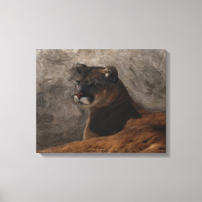 Toile Cougar Mountain Lion Big Cat Peinture (Recto)