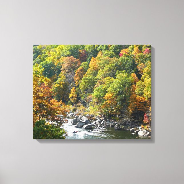 Toile Couleur d'automne dans le parc d'état d'Ohiopyle (Recto)