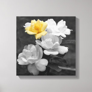 Toile Couleur partielle du cluster rose jaune