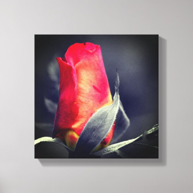 Toile Couleur partielle rouge Rosebud (Recto)