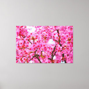 Toile Couleur rose Fleurs de cerisier