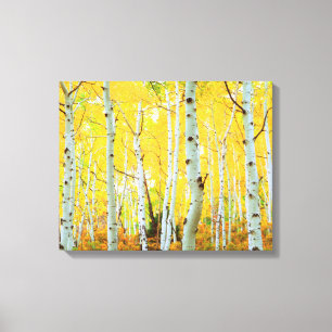 Toile Couleurs automnales des arbres d'Aspen 1