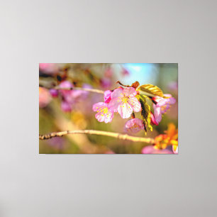 Toile Couleurs Chaudes Des Fleurs De Sakura Durant La Sa