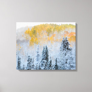 Toile Couleurs d'automne des trembles et neige fraîche K