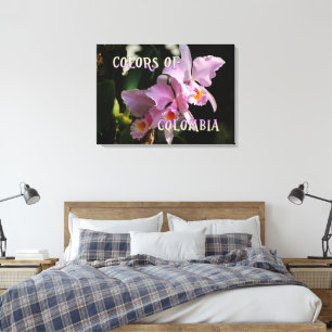 Toile Couleurs de la Colombie Cattleya Orchid
