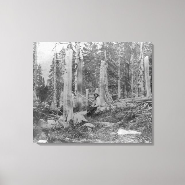 Toile Coupe des arbres par Donner Party (Recto)