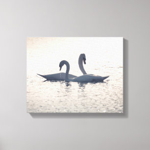 Toile Courage Swans Nature Photo