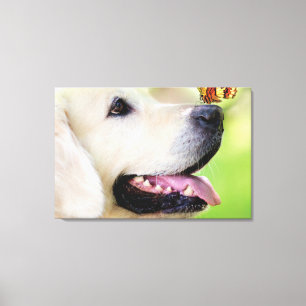 Toile Coussin décoratif Labrador et papillon