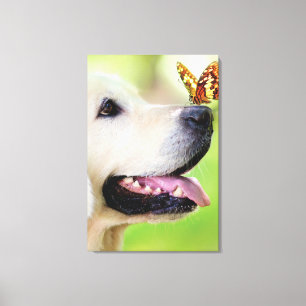Toile Coussin décoratif Labrador et papillon