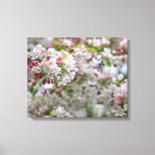 Toile Crabe-Apple fleurissant