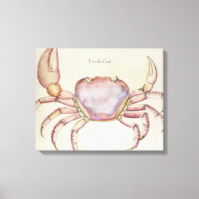 Toile Crabe terrestre (Recto)