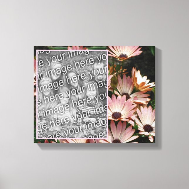Toile Créez Votre Propre Photo Pink African Daisy Flower (Recto)