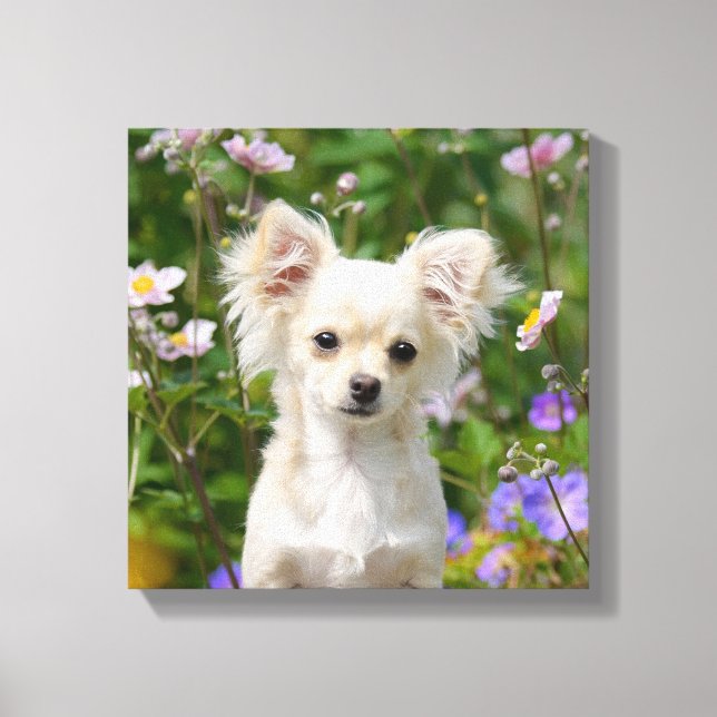 Toile Crème mignonne Chihuahua Chien Chiot Photo - Envel (Recto)