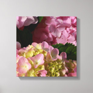 Toile Crème rose Hydrangeas jaune rose vert floral