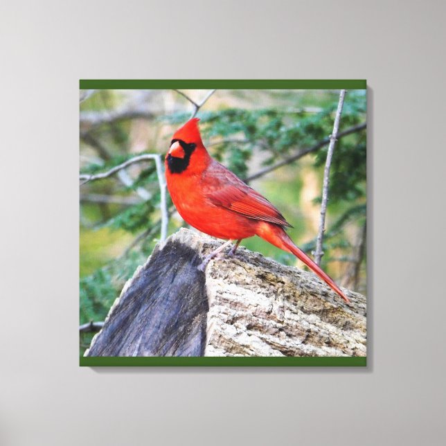Toile Crimson Cardinal Woods (Recto)