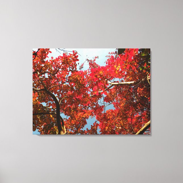 Toile Crimson Myrtle #2 (Recto)