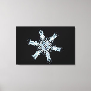 Toile cristal de neige stellaire