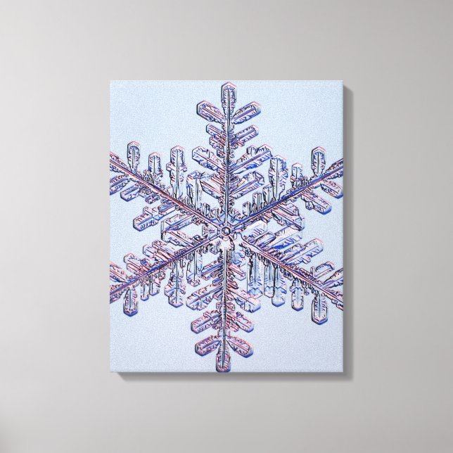 Toile Cristal de snowflake (Recto)