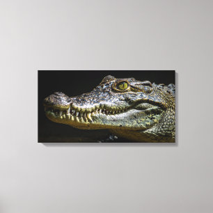 Toile Crocodile