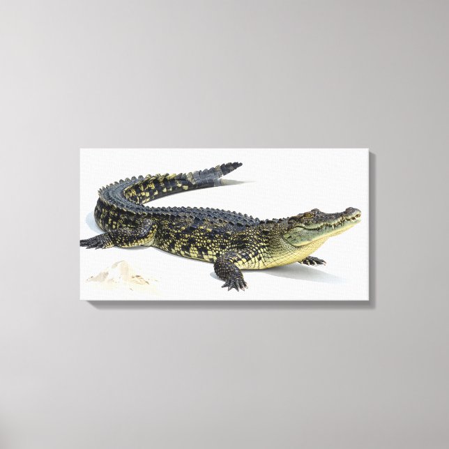 Toile Crocodile (Recto)