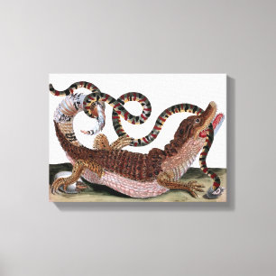 Toile Crocodile mangeant le serpent sur le tissu