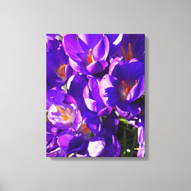 TOILE CROCUS DE PRINTEMPS (Recto)