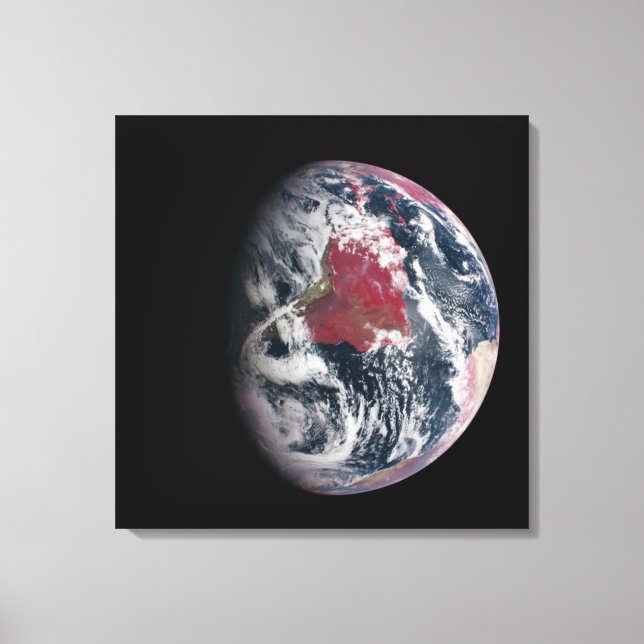 Toile Croissance plante Sur La Planète Terre. (Recto)