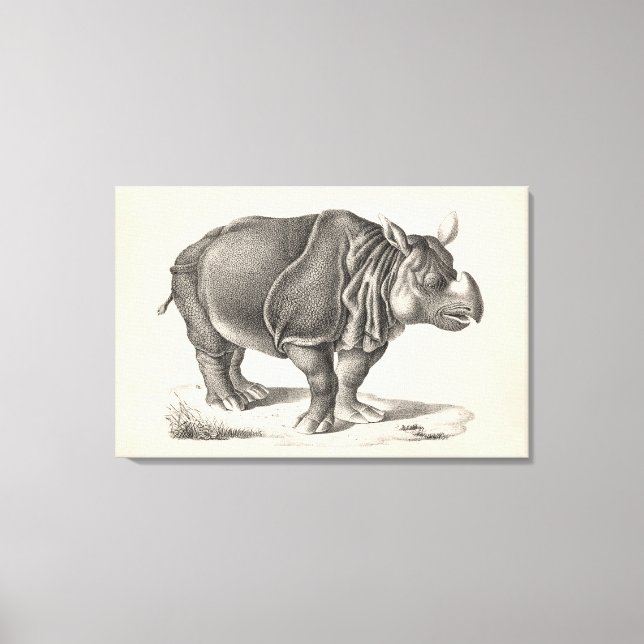 Toile Croquis Brodtmann Rhinoceros (Recto)