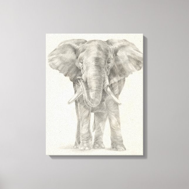 Toile Croquis éléphant (Recto)