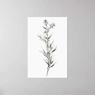 Toile Croquis monochrome simple