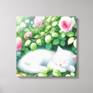 Toile Cube Kitten Blanc Nappant Sous Rosebush